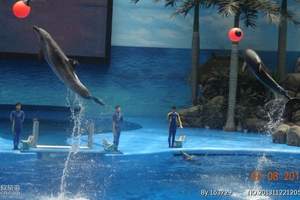 成都海昌極地海洋世界